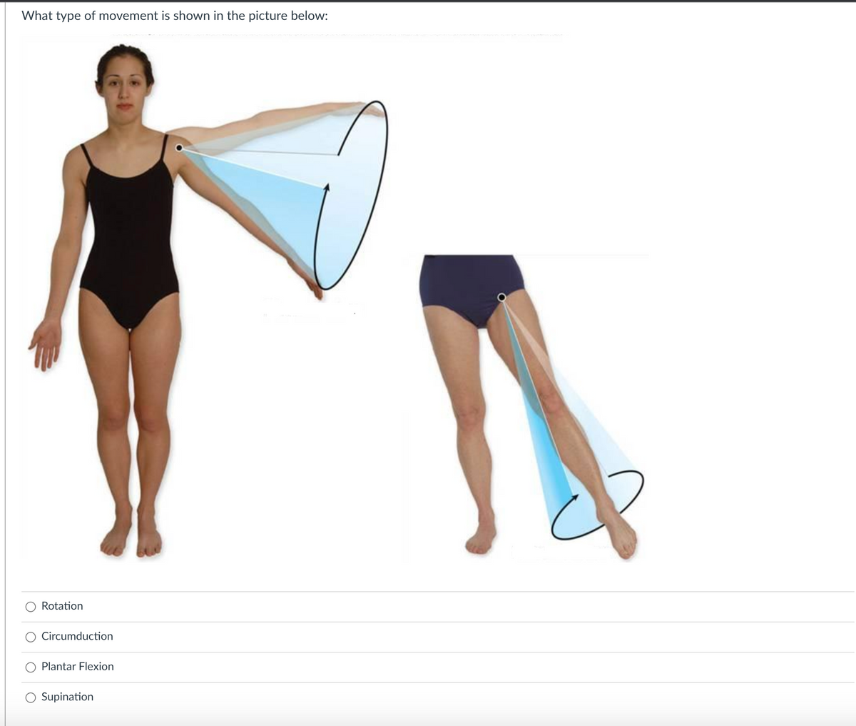 What type of movement is shown in the picture below:
Rotation
Circumduction
O Plantar Flexion
O Supination
