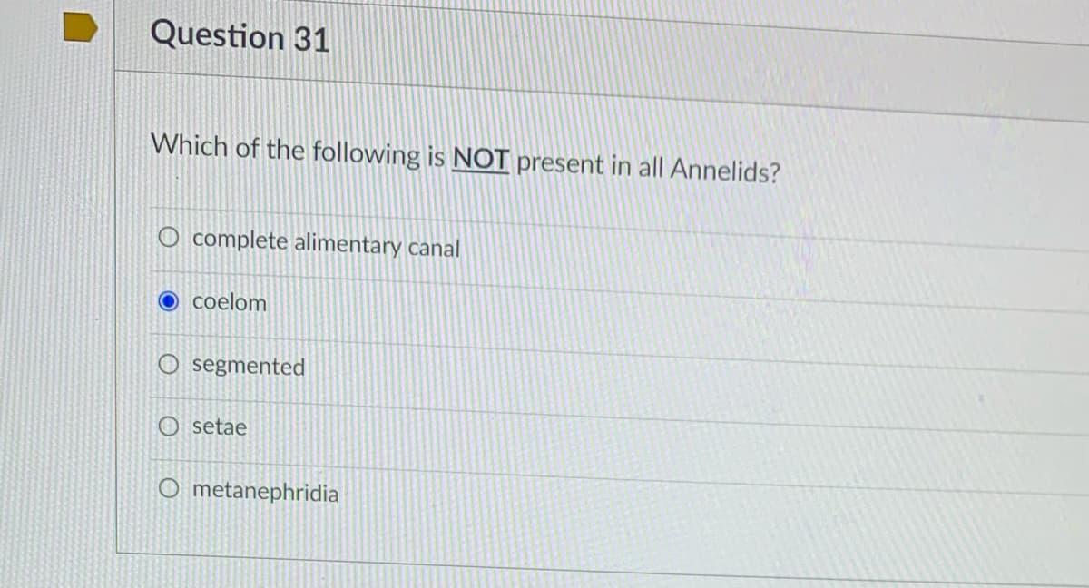 Question 31
Which of the following is NOT present in all Annelids?
O complete alimentary canal
O coelom
O segmented
O setae
O metanephridia
