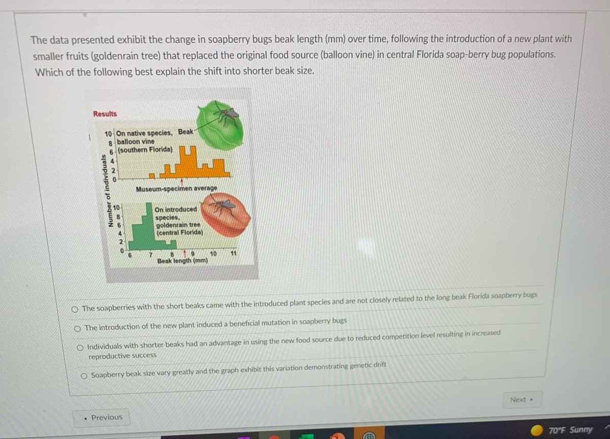 The data presented exhibit the change in soapberry bugs beak length (mm) over time, following the introduction of a new plant with
smaller fruits (goldenrain tree) that replaced the original food source (balloon vine) in central Florida soap-berry bug populations.
Which of the following best explain the shift into shorter beak size.
Results
10 On native species, Beak
8 balloon vine
6 (southern Florida)
Museum-specimen average
On introduced
species,
goldenrain tree
(central Florida)
10
11
8
Beak length (mm)
O The soapberries with the short beaks came with the introduced plant species and are not closely related to the long beak Florida soapberry bugs
O The introduction of the new plant induced a beneficial mutation in soapberry bugs
O Individuals with shorter beaks had an advantage in using the new food source due to reduced competition level resulting in increased
reproductive success
O Soapberry beak size vary greatly and the graph exhibit this variation demonstrating genetic drift
Next
Previous
70°F Sunny
Number of individuals
జ అ
