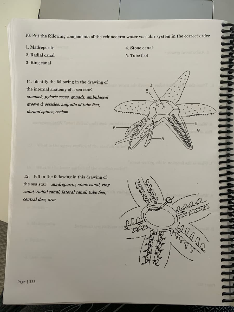 10. Put the following components of the echinoderm water vascular system in the correct order
1. Madreporite
4. Stone canal
leodA
2. Radial canal
5. Tube feet
3. Ring canal
11. Identify the following in the drawing of
the internal anatomy of a sea star:
stomach, pyloric cecae, gonads, ambulacral
groove & ossicles, ampulla of tube feet,
dermal spines, coelom
o ob otola
-8
6.
6
17
What is the ersce of the strfiah cle
What ite
12. Fill in the following in this drawing of
the sea star: madreporite, stone canal, ring
canal, radial canal, lateral canal, tube feet, h visib
central disc, arm
boto e
Page | 333
