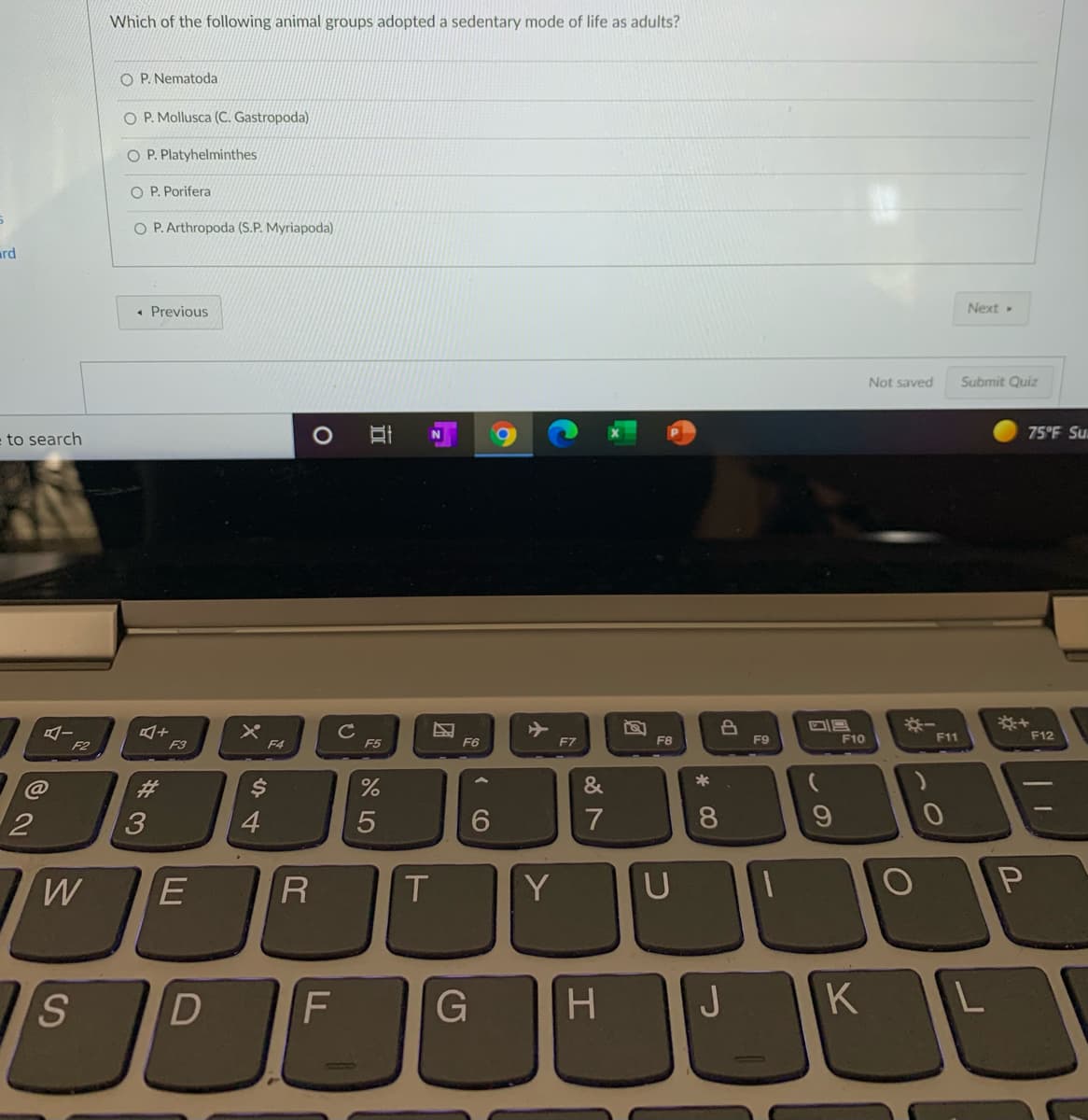 Which of the following animal groups adopted a sedentary mode of life as adults?
O P. Nematoda
O P. Mollusca (C. Gastropoda)
O P. Platyhelminthes
O P. Porifera
O P. Arthropoda (S.P. Myriapoda)
ard
• Previous
Next
Not saved
Submit Quiz
75°F Su
to search
F7
F8
F9
F10
F11
F12
F2
F3
F4
F5
F6
%23
3
4
6.
7
8.
R
T
Y
U
S.
F
K
1O
LL
