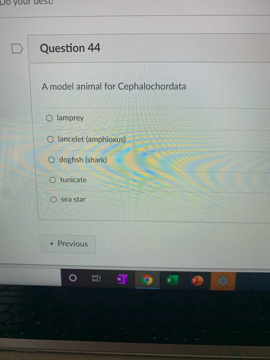 Question 44
A model animal for Cephalochordata
O lamprey
lancelet (amphioxus)
dogfish (shark)
tunicate
O sea star
« Previous
江I N
