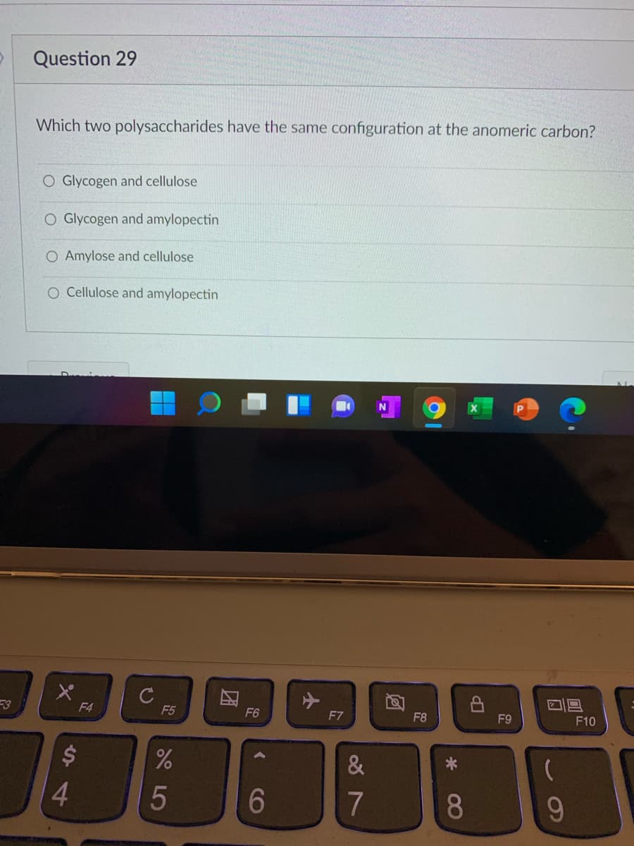 Question 29
Which two polysaccharides have the same configuration at the anomeric carbon?
O Glycogen and cellulose
O Glycogen and amylopectin
O Amylose and cellulose
O Cellulose and amylopectin
F4
F5
回口
F6
F7
F8
F9
F10
$
%
&
4.
6
8.
9.
团
