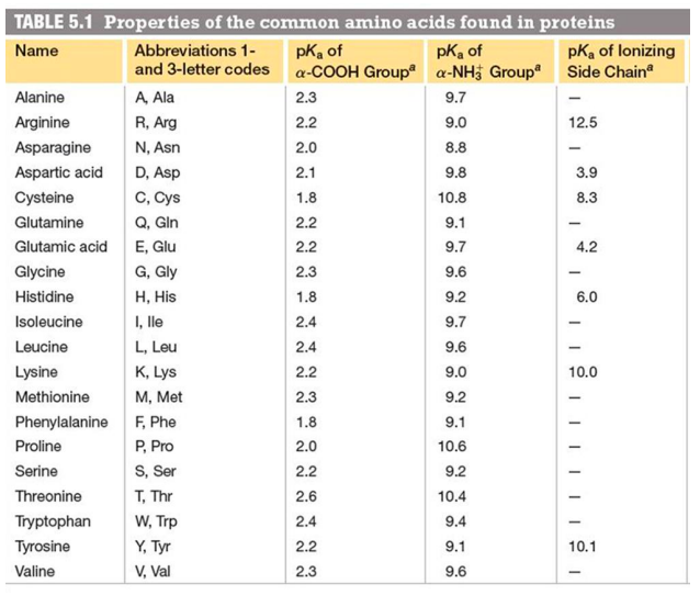 TABLE 5.1 Properties of the common amino acids found in proteins
Name
Abbreviations 1-
pk of
and 3-letter codes
pka of
pK₂ of lonizing
a-COOH Group a-NH3 Group Side Chain
A, Ala
9.7
R, Arg
9.0
N, Asn
8.8
9.8
10.8
9.1
9.7
9.6
9.2
9.7
9.6
9.0
9.2
9.1
10.6
9.2
10.4
9.4
9.1
9.6
Alanine
Arginine
Asparagine
Aspartic acid
Cysteine
Glutamine
Glutamic acid
Glycine
Histidine
Isoleucine
Leucine
Lysine
Methionine
Phenylalanine
Proline
Serine
Threonine
Tryptophan
Tyrosine
Valine
D, Asp
C, Cys
Q, Gin
E, Glu
G, Gly
H, His
I, lle
L, Leu
K, Lys
M, Met
F, Phe
P, Pro
S, Ser
T, Thr
W, Trp
Y, Tyr
V, Val
2.3
2.2
2.0
2.1
1.8
2.2
2.2
2.3
1.8
2.4
2.4
2.2
2.3
1.8
2.0
2.2
2.6
2.4
2.2
2.3
12.5
3.9
8.3
-
4.2
6.0
-
-
10.0
10.1
-