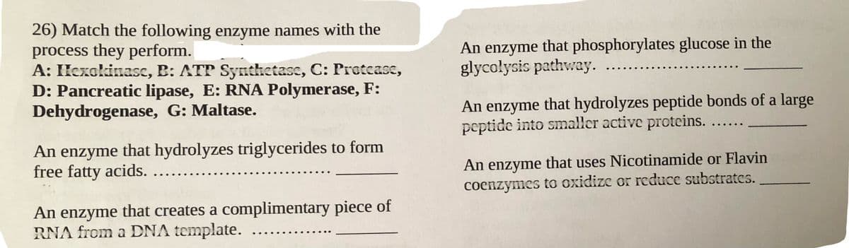 26) Match the following enzyme names with the
process they perform.
A: IHexokinasc, B: ATP Synthetase, C: Pretcase,
D: Pancreatic lipase, E: RNA Polymerase, F:
Dehydrogenase, G: Maltase.
An enzyme that phosphorylates glucose in the
glycołysis pathway.
..
An enzyme that hydrolyzes peptide bonds of a large
peptide into smaller active protcins. ....
An enzyme that hydrolyzes triglycerides to form
free fatty acids. ....
An enzyme that uses Nicotinamide or Flavin
coenzymes to oxidize or reduce substratcs.
An enzyme that creates a complimentary piece of
RNA from a DNA template.
