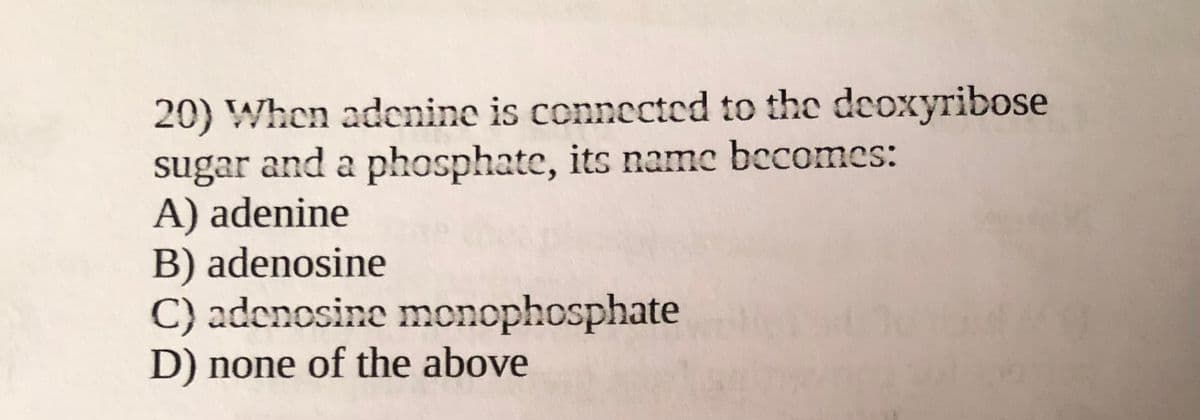 20) When adcnine is connected to the deoxyribose
sugar and a phosphate, its name becomes:
A) adenine
B) adenosine
C) adenosine mcnophosphate
D) none of the above
