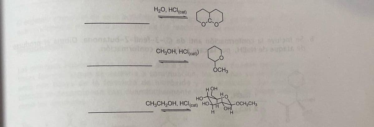 H₂O, HCI (cat)
CH3OH, HCI (cat))
O
OCH3
HOH
Ho
HO
CH3CH2OH, HCI (cat) HO
H
-OCH2CH3
OHI
H
H