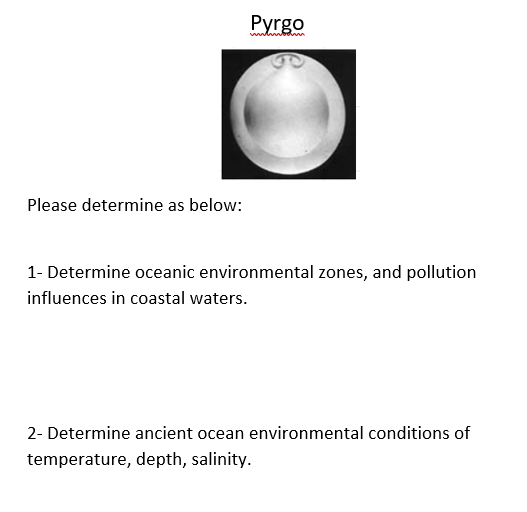 Pyrgo
Please determine as below:
1- Determine oceanic environmental zones, and pollution
influences in coastal waters.
2- Determine ancient ocean environmental conditions of
temperature, depth, salinity.
