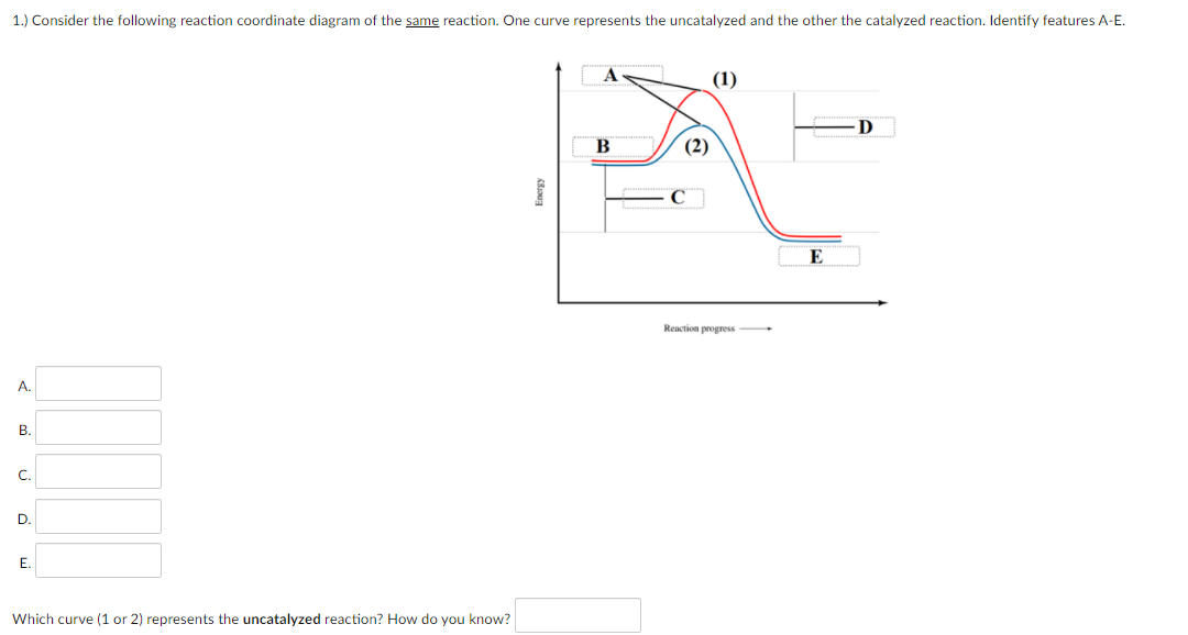 ### Reaction Coordinate Diagram Analysis

**Question 1:**
Consider the following reaction coordinate diagram of the same reaction. One curve represents the uncatalyzed reaction and the other the catalyzed reaction. Identify features A-E.

#### Diagram Description:
The provided diagram is a reaction coordinate plot showing energy changes throughout the progress of a chemical reaction. 

- **Y-axis**: Represents the energy of the system.
- **X-axis**: Represents the progress of the reaction from reactants to products.
- **Two curves**: 
  - **Curve 1 (black)**: Indicates the path of the uncatalyzed reaction.
  - **Curve 2 (blue)**: Indicates the path of the catalyzed reaction.

Points A-E on the diagram are labeled to identify specific energy states or transition points within the reaction process.

#### Features:
- **A (Highest Point on Curve 1)**: 
- **B (Starting Point)**: 
- **C (Highest Point on Curve 2)**: 
- **D (Intermediate Energy State for Curve 1)**: 
- **E (Ending Point)**:

#### Question 2:
Which curve (1 or 2) represents the uncatalyzed reaction? How do you know?

**Answer:** 
[intuition and explanation goes here]

**Explanation:**
An uncatalyzed reaction typically has a higher activation energy than a catalyzed reaction. Thus, Curve 1 represents the uncatalyzed reaction as it shows a higher energy peak compared to Curve 2.

---

#### Graphical Elements Explanation:

The reaction coordinate diagram includes two curves representing the energy profiles of a chemical reaction with and without a catalyst. The key points indicated by letters (A-E) mark significant stages such as the initial state, transition states, intermediate states, and final state of the reaction. The height of these points on the graph corresponds to the relative energy of the system at these stages.