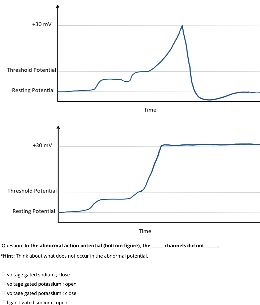 +30 mV
Threshold Potential
Resting Potential
Time
+30 mV
Threshold Potential
Resting Potential
Time
Question: In the abnormal action potential (bottom figure), the
channels did not
*Hint: Think about what does not occur in the abnormal potential.
O voltage gated sodium ; close
O voltage gated potassium ; open
O voltage gated potassium ; close
O ligand gated sodium ; open
