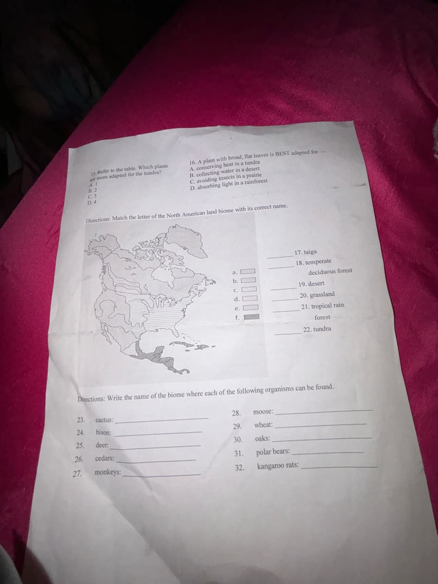 15. Refer to the table. Which plants
are more adapted for the tundra?
A. I
B. 2
C. 3
D. 4
16. A plant with broad, flat leaves is BEST adapted for
A. conserving heat in a tundra
B. collecting water in a desert
C. avoiding insects in a prairie
D. absorbing light in a rainforest
Directions: Match the letter of the North American land biome with its correct name.
17. taiga
18. temperate
deciduous forest
19. desert
b.
C.
d.
20. grassland
e.
21. tropical rain
forest
22. tundra
Directions: Write the name of the biome where each of the following organisms can be found.
28.
moose:
23.
cactus:
29.
wheat:
24.
bison:
30.
oaks:
25.
deer:
26.
cedars:
31.
polar bears:
27.
monkeys:
32.
kangaroo rats: