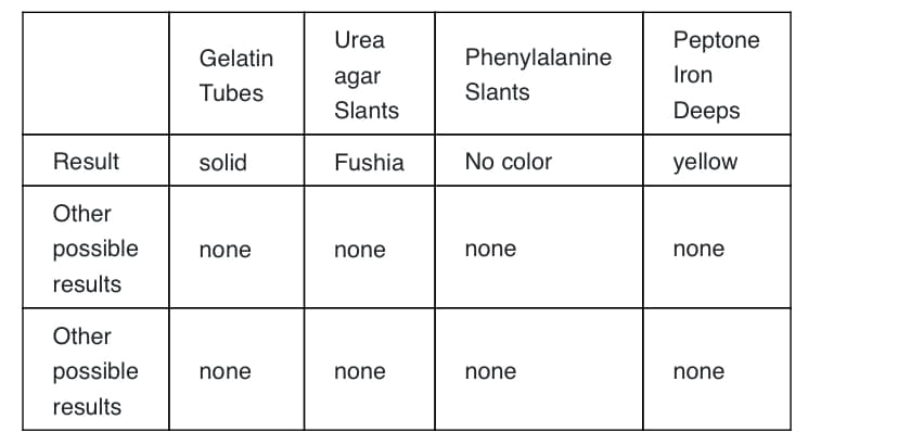 Urea
Peptone
Gelatin
Phenylalanine
agar
Iron
Tubes
Slants
Slants
Deeps
Result
solid
Fushia
No color
yellow
Other
possible
none
none
none
none
results
Other
possible
none
none
none
none
results
