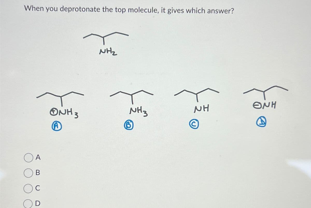 When you deprotonate the top molecule, it gives which answer?
A
B
C
D
*NH 3
(A
NH₂
NH3
(3)
NH
ENH