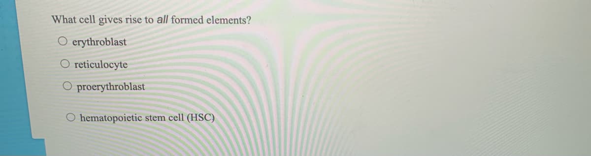 What cell gives rise to all formed elements?
O erythroblast
reticulocyte
O proerythroblast
O hematopoietic stem cell (HSC)
