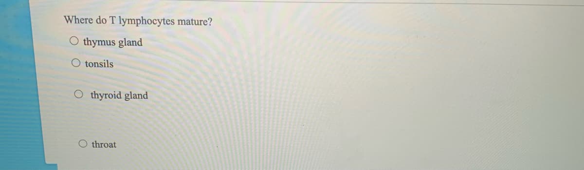 Where do T lymphocytes mature?
O thymus gland
O tonsils
O thyroid gland
O throat
