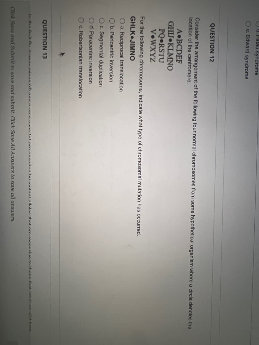 U 8. Patau syndrome
O e. Edward syndrome
QUESTION 12
Consider the arrangement of the following four normal chromosomes from some hypothetical organism where a circle denotes the
location of the centromere:
A•BCDEF
GHIJ KLMNO
PQ•RSTU
V•WXYZ
For the following chromosome, indicate what type of chromosomal mutation has occurred.
GHLK JIMNO
O a. Reciprocal translocation
O b. Pericentric inversion
Oc Segmental duplication
O d. Paracentric inversion
O e. Robertsonian translocation
QUESTION 13
In the fr sit Aud mnuwinge ld)and purple eves (nlare encnded by mutant alleles that are receeeive to these thatooduce uild hne
Click Save and Submit to save and submit. Click Save All Answers to save all answers.
