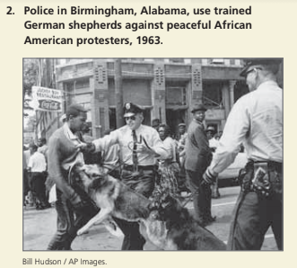 2. Police in Birmingham, Alabama, use trained
German shepherds against peaceful African
American protesters, 1963.
Bill Hudson / AP Images.
