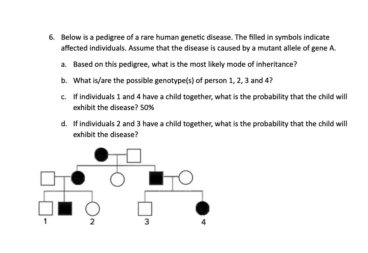 6. Below is a pedigree of a rare human genetic disease. The filled in symbols indicate
affected individuals. Assume that the disease is caused by a mutant allele of gene A.
a. Based on this pedigree, what is the most likely mode of inheritance?
b. What is/are the possible genotype(s) of person 1, 2, 3 and 4?
c.
If individuals 1 and 4 have a child together, what is the probability that the child will
exhibit the disease? 50%
d. If individuals 2 and 3 have a child together, what is the probability that the child will
exhibit the disease?
2
3
4