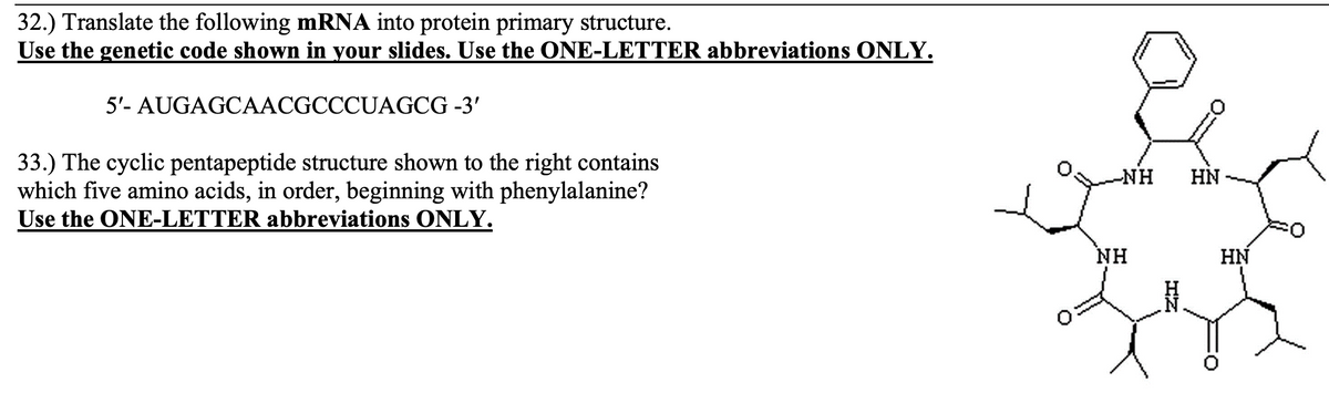 32.) Translate the following mRNA into protein primary structure.
Use the genetic code shown in your slides. Use the ONE-LETTER abbreviations ONLY.
5'- AUGAGCAACGCCCUAGCG -3'
33.) The cyclic pentapeptide structure shown to the right contains
which five amino acids, in order, beginning with phenylalanine?
Use the ONE-LETTER abbreviations ONLY.
NH
HN
NH
HN
