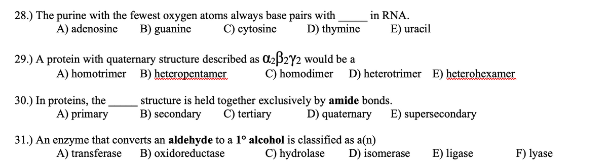 28.) The purine with the fewest oxygen atoms always base pairs with
B) guanine
in RNA.
A) adenosine
C) cytosine
D) thymine
E) uracil
29.) A protein with quaternary structure described as C232Y2 would be a
C) homodimer
A) homotrimer B) heteropentamer
D) heterotrimer E) heterohexamer
30.) In proteins, the
A) primary
structure is held together exclusively by amide bonds.
C) tertiary
B) secondary
D) quaternary
E) supersecondary
31.) An enzyme that converts an aldehyde to a 1º alcohol is classified as a(n)
B) oxidoreductase
A) transferase
C) hydrolase
D) isomerase
E) ligase
F) lyase
