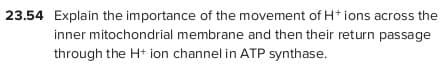 23.54 Explain the importance of the movement of H* ions across the
inner mitochondrial membrane and then their return passage
through the H+ ion channel in ATP synthase.
