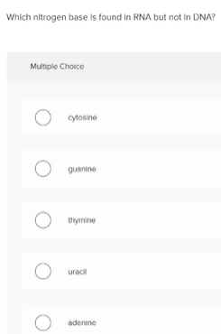 Which nitrogen base is found in RNA but not in DNA?
Multiple Choice
cytosine
guanine
thymine
uracil
adenine
