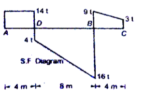 14t
31
S.F Dagram
161
+ 4 m -
+ 4 m te
8 m
