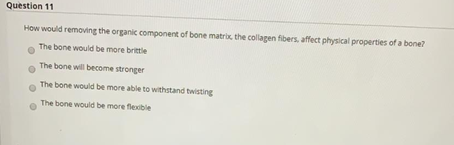 Question 11
How would removing the organic component of bone matrix, the collagen fibers, affect physical properties of a bone?
The bone would be more brittle
The bone will become stronger
The bone would be more able to withstand twisting
The bone would be more flexible
