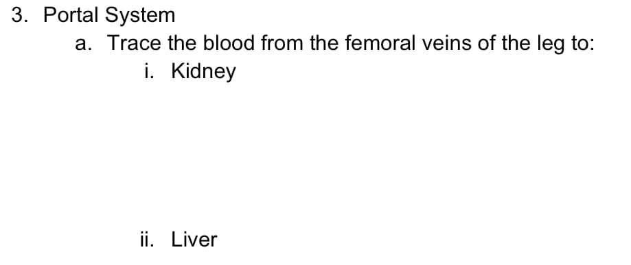 3. Portal System
a. Trace the blood from the femoral veins of the leg to:
i. Kidney
ii. Liver
