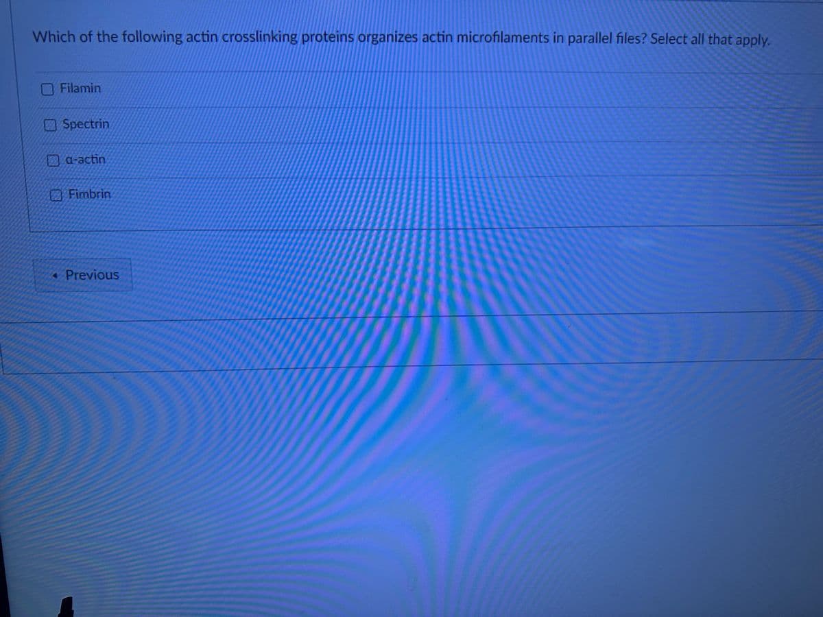 Which of the following actin crosslinking proteins organizes actin microfilaments in parallel files? Select all that apply.
Filamin
Spectrin
a-actin
Fimbrin
<< Previous
mung