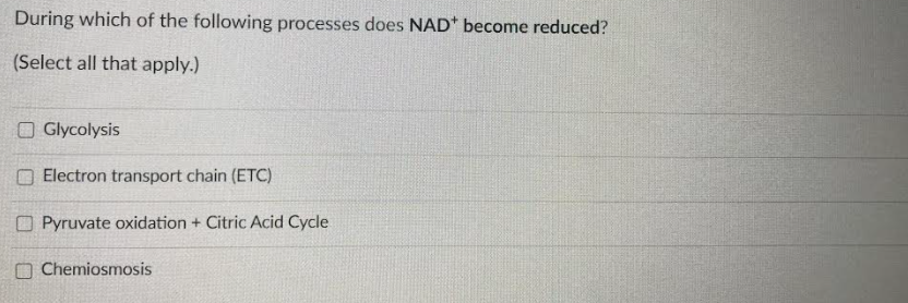 During which of the following processes does NAD* become reduced?
(Select all that apply.)
O Glycolysis
O Electron transport chain (ETC)
O Pyruvate oxidation + Citric Acid Cycle
O Chemiosmosis
