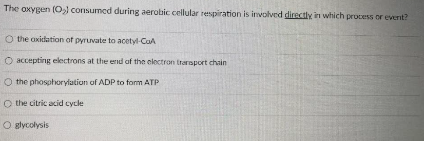 The oxygen (O2) consumed during aerobic cellular respiration is involved directly in which process or event?
O the oxidation of pyruvate to acetyl-CoA
O accepting electrons at the end of the electron transport chain
O the phosphorylation of ADP to form ATP
O the citric acid cycle
O glycolysis
