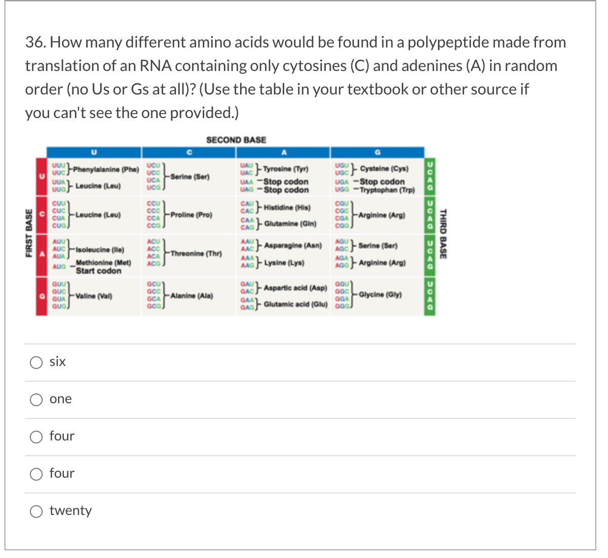 36. How many different amino acids would be found in a polypeptide made from
translation of an RNA containing only cytosines (C) and adenines (A) in random
order (no Us or Gs at all)? (Use the table in your textbook or other source if
you can't see the one provided.)
SECOND BASE
UUUPhenylalanine (Phe)
UAU
UCU
UGU
Tyrosine (Tyr)
Cysteine (Cys)
u Uuc
UUA Leucine (Leu)
Uua
UCA FSerine (Ser)
uca
UAC
UAA -Stop codon
UAG -Stop codon
UGA -Stop codon
uaa -Tryptophan (Trp)
CAU
COU
cac
CGA FArginine (Arg)
caa)
CU
CACHistidine (His)
Cuc
CUA
cua
Leucine (Leu)
Proline (Pro)
CCA
cca
CAA
Glutamine (Gin)
CAGF
AUU
AUC
AUA
AACAsparagine (Asn)
AAA
AAGLysine (Lys)
AGU
ACU
ACC
ACA Threonine (Thr)
ACG
AAU
Isoleucine (le)
AGC
Serine (Ser)
Methionine (Met)
Start codon
AGG Arginine (Arg)
AUG -
GU
Guc
GUA
Gua
GcU
acC
GCA FAlanine (Ala)
GAU
GACAspartic acid (Asp)
GAA Glutamic acid (Glu) Ga.
ne (Val)
- Glycine (Gly)
G
Valine
GGA
six
one
four
four
twenty
FIRST BASE
THIRD BASE
