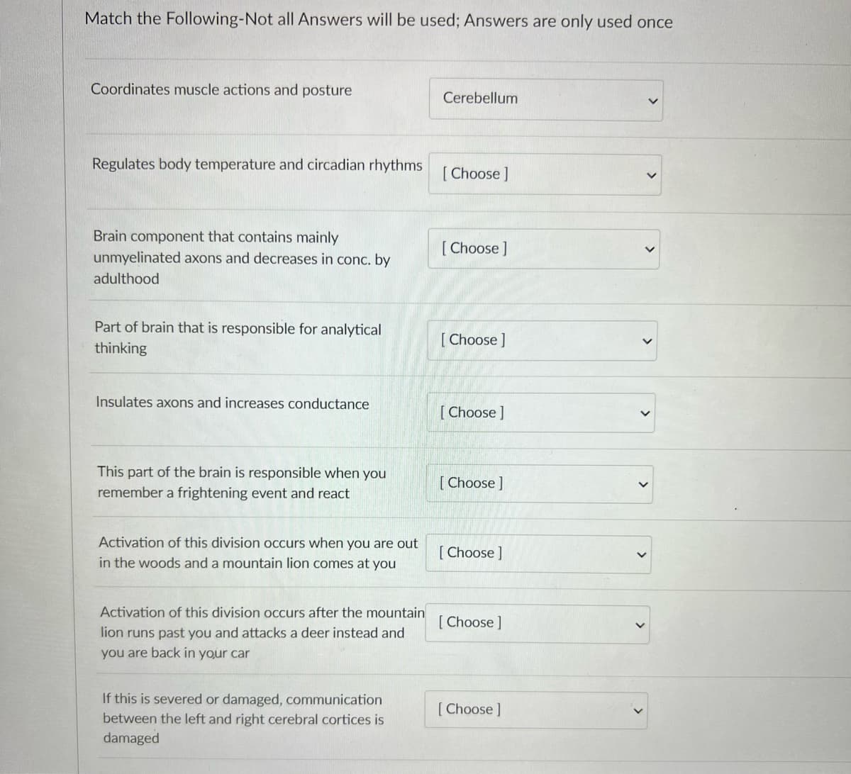 Match the Following-Not all Answers will be used; Answers are only used once
Coordinates muscle actions and posture
Cerebellum
Regulates body temperature and circadian rhythms I Choose 1
Brain component that contains mainly
unmyelinated axons and decreases in conc. by
[Choose ]
adulthood
Part of brain that is responsible for analytical
[ Choose ]
thinking
Insulates axons and increases conductance
[Choose ]
This part of the brain is responsible when you
[ Choose ]
remember a frightening event and react
Activation of this division occurs when you are out
[ Choose ]
in the woods and a mountain lion comes at you
Activation of this division occurs after the mountain
[ Choose ]
lion runs past you and attacks a deer instead and
you are back in your car
If this is severed or damaged, communication
[ Choose]
between the left and right cerebral cortices is
damaged
>
