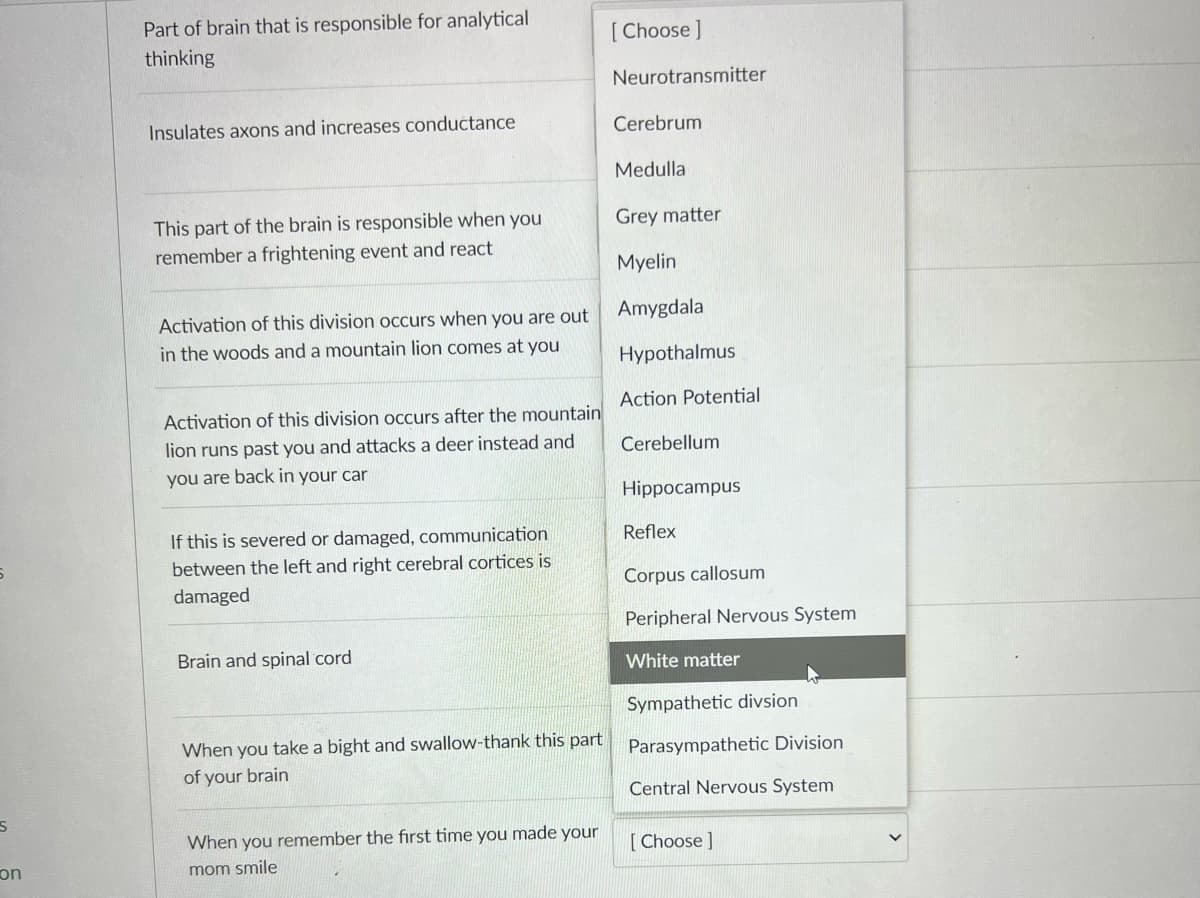Part of brain that is responsible for analytical
thinking
[ Choose ]
Neurotransmitter
Insulates axons and increases conductance
Cerebrum
Medulla
This part of the brain is responsible when you
Grey matter
remember a frightening event and react
Myelin
Activation of this division occurs when you are out
Amygdala
in the woods and a mountain lion comes at you
Hypothalmus
Action Potential
Activation of this division occurs after the mountain
lion runs past you and attacks a deer instead and
you are back in your car
Cerebellum
Hippocampus
If this is severed or damaged, communication
Reflex
between the left and right cerebral cortices is
Corpus callosum
damaged
Peripheral Nervous System
Brain and spinal cord
White matter
Sympathetic divsion
When you take a bight and swallow-thank this part
Parasympathetic Division
of your brain
Central Nervous System
When you remember the first time you made your
[ Choose]
on
mom smile
