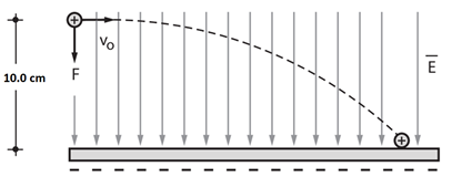 Vo
E
10.0 cm
F
