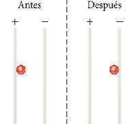 Antes
Después
+
