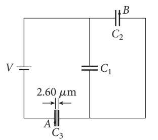 В
C2
V
2.60 µm
C3
