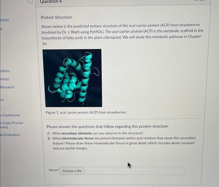 Question 4
Protein Structure.
ments
Shown below is the predicted tertiary structure of the acyl carrier protein (ACP) from strawberries
(modeled by Dr. J. Blatti using PYMOL). The acyl carrier protein (ACP) is the metabolic scaffold in the
biosynthesis of fatty acids in the plant chloroplast. We will study this metabolic pathway in Chapter
24.
ations
nnect
Research
us
Figure 1. acyl carrier protein (ACP) from strawberries
er Dashboard
e Exam Proctor
torio)
Please answer the questions that follow regarding this protein structure.
A. What secondary elements can you observe in this structure?
se Evaluation
B. What intramolecular forces are present between amino acid residues that cause this secondary
feature? Please draw these intramolecular forces in great detail, which includes atoms involved
and any partial charges.
Upload
Choose a file
