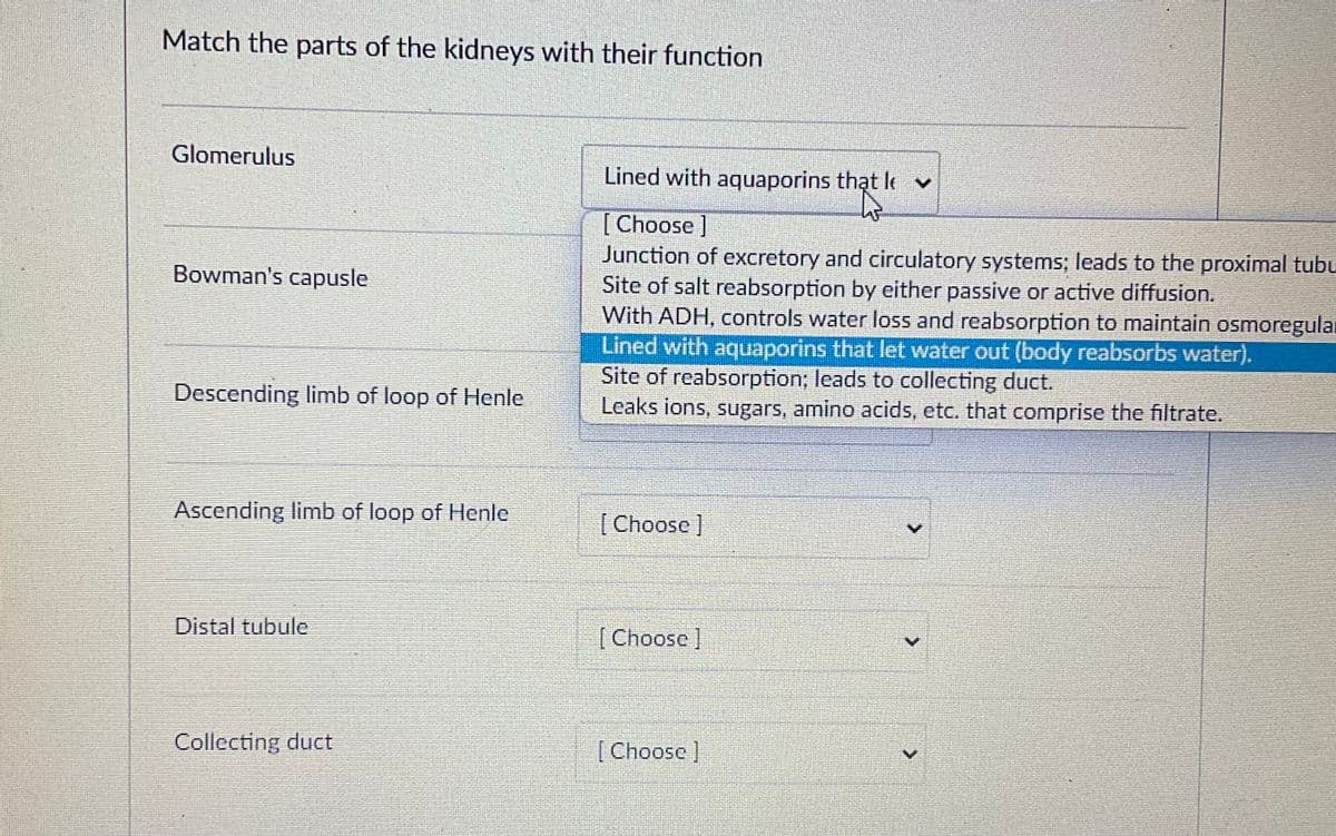 Match the parts of the kidneys with their function
Glomerulus
Bowman's capusle
Descending limb of loop of Henle
Ascending limb of loop of Henle
Distal tubule
Collecting duct
Lined with aquaporins that l v
[Choose]
Junction of excretory and circulatory systems; leads to the proximal tubu
Site of salt reabsorption by either passive or active diffusion.
With ADH, controls water loss and reabsorption to maintain osmoregular
Lined with aquaporins that let water out (body reabsorbs water).
Site of reabsorption; leads to collecting duct.
Leaks ions, sugars, amino acids, etc. that comprise the filtrate.
[Choose ]
[Choose ]
[Choose]
>
>