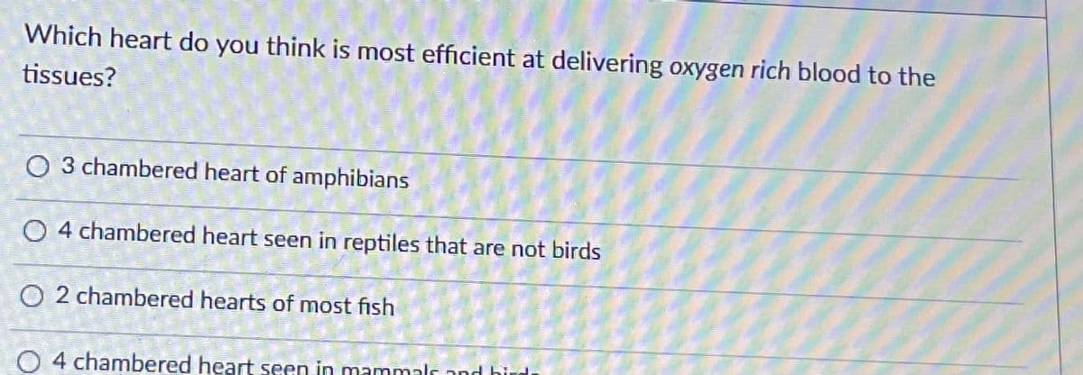 Which heart do you think is most efficient at delivering oxygen rich blood to the
tissues?
O 3 chambered heart of amphibians
O4 chambered heart seen in reptiles that are not birds
O 2 chambered hearts of most fish
d bird.
O4 chambered heart seen in mammals