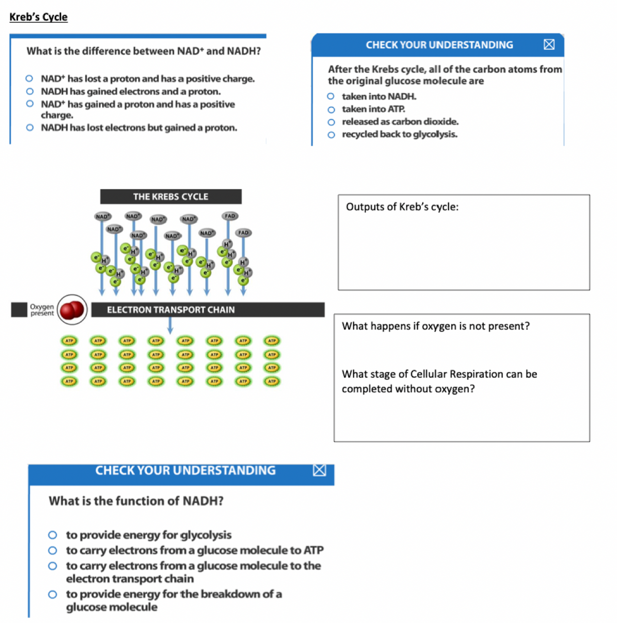 Kreb's Cycle
CHECK YOUR UNDERSTANDING
What is the difference between NAD* and NADH?
O NAD* has lost a proton and has a positive charge.
O NADH has gained electrons and a proton.
O NAD* has gained a proton and has a positive
charge.
O NADH has lost electrons but gained a proton.
After the Krebs cycle, all of the carbon atoms from
the original glucose molecule are
O taken into NADH.
O taken into ATP.
O released as carbon dioxide.
O recycled back to glycolysis.
THE KREBS CYCLE
Outputs of Kreb's cycle:
NAD
NAD
NAD
NAD
FAD
NAD
NAD
NAD
NAD
FAD
Oxygen
present
ELECTRON TRANSPORT CHAIN
What happens if oxygen is not present?
ATP
ATP
ATP
ATP
ATP
ATP
ATP
ATP
ATP
ATP
ATP
ATP
ATP
ATP
ATP
ATP
ATP
ATP
ATP
ATP
ATP
What stage of Cellular Respiration can be
completed without oxygen?
ATP
ATP
ATP
ATP
ATP
ATP
ATP
CHECK YOUR UNDERSTANDING
What is the function of NADH?
to provide energy for glycolysis
to carry electrons from a glucose molecule to ATP
to carry electrons from a glucose molecule to the
electron transport chain
O to provide energy for the breakdown of a
glucose molecule
