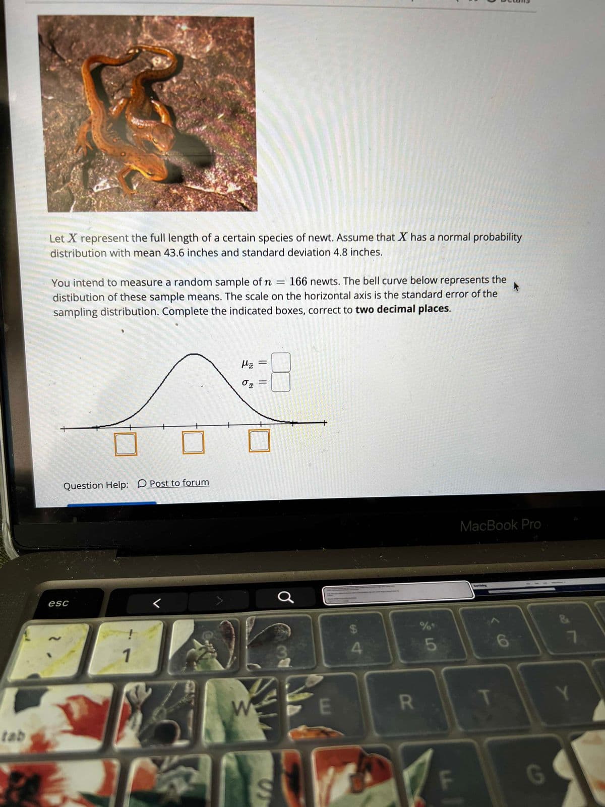 Let X represent the full length of a certain species of newt. Assume that X has a normal probability
distribution with mean 43.6 inches and standard deviation 4.8 inches.
You intend to measure a random sample of n
166 newts. The bell curve below represents the
distibution of these sample means. The scale on the horizontal axis is the standard error of the
sampling distribution. Complete the indicated boxes, correct to two decimal places.
Question Help: DPost to forum
MacBook Pro
esc
24
%*
1
4.
6
7.
E
tab
G
LL
R
||
