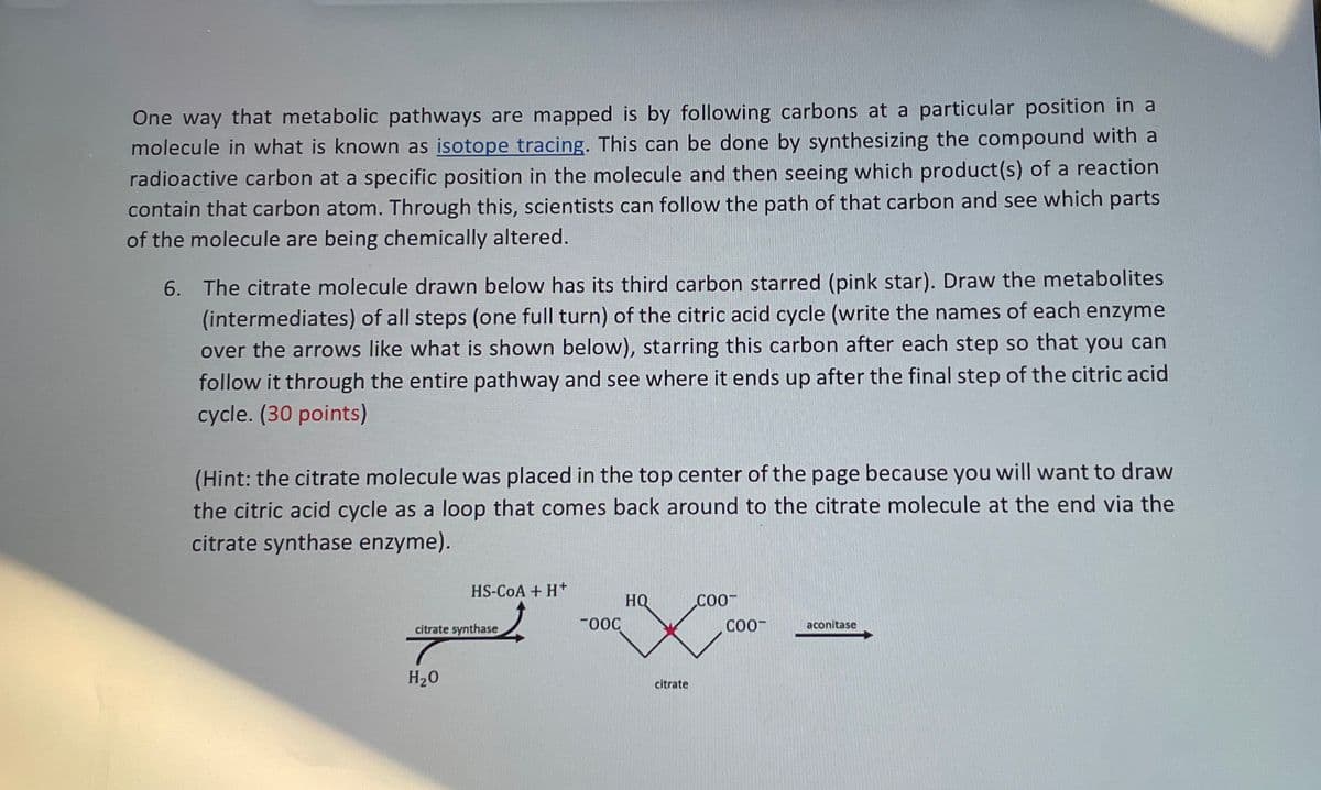 One way that metabolic pathways are mapped is by following carbons at a particular position in a
molecule in what is known as isotope tracing. This can be done by synthesizing the compound with a
radioactive carbon at a specific position in the molecule and then seeing which product(s) of a reaction
contain that carbon atom. Through this, scientists can follow the path of that carbon and see which parts
of the molecule are being chemically altered.
6. The citrate molecule drawn below has its third carbon starred (pink star). Draw the metabolites
(intermediates) of all steps (one full turn) of the citric acid cycle (write the names of each enzyme
over the arrows like what is shown below), starring this carbon after each step so that you can
follow it through the entire pathway and see where it ends up after the final step of the citric acid
cycle. (30 points)
(Hint: the citrate molecule was placed in the top center of the page because you will want to draw
the citric acid cycle as a loop that comes back around to the citrate molecule at the end via the
citrate synthase enzyme).
HS-CoA + H+
HQ
COO
citrate synthase
-00C
COO
aconitase
H₂O
citrate