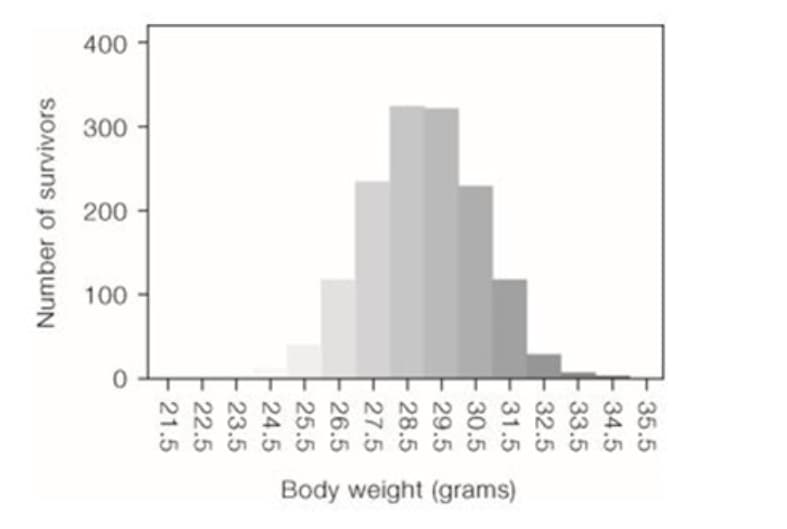 400
300
200
100
Body weight (grams)
35.5
34.5
33.5
F 32.5
F 31.5
30.5
E 29.5
E 28.5
E 27.5
E 26.5
25.5
E 24.5
E 23.5
E 22.5
21.5
Number of survivors
