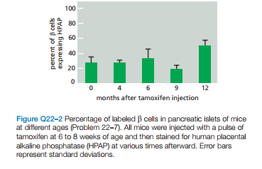 100
80
60
40
20
4
6
12
months after tamoxifen injection
Figure Q22-2 Percentage of labeled B cells in pancreatic islets of mice
at different ages (Problem 22-7). All mice were injected with a pulse of
tamoxifen at 6 to 8 weeks of age and then stained for human placental
alkaline phosphatase (HPAP) at various times afterward. Error bars
represent standard deviations.
percent of B cells
expressing HPAP
