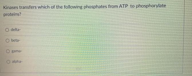 Kinases transfers which of the following phosphates from ATP to phosphorylate
proteins?
delta-
O beta-
gama-
alpha-
