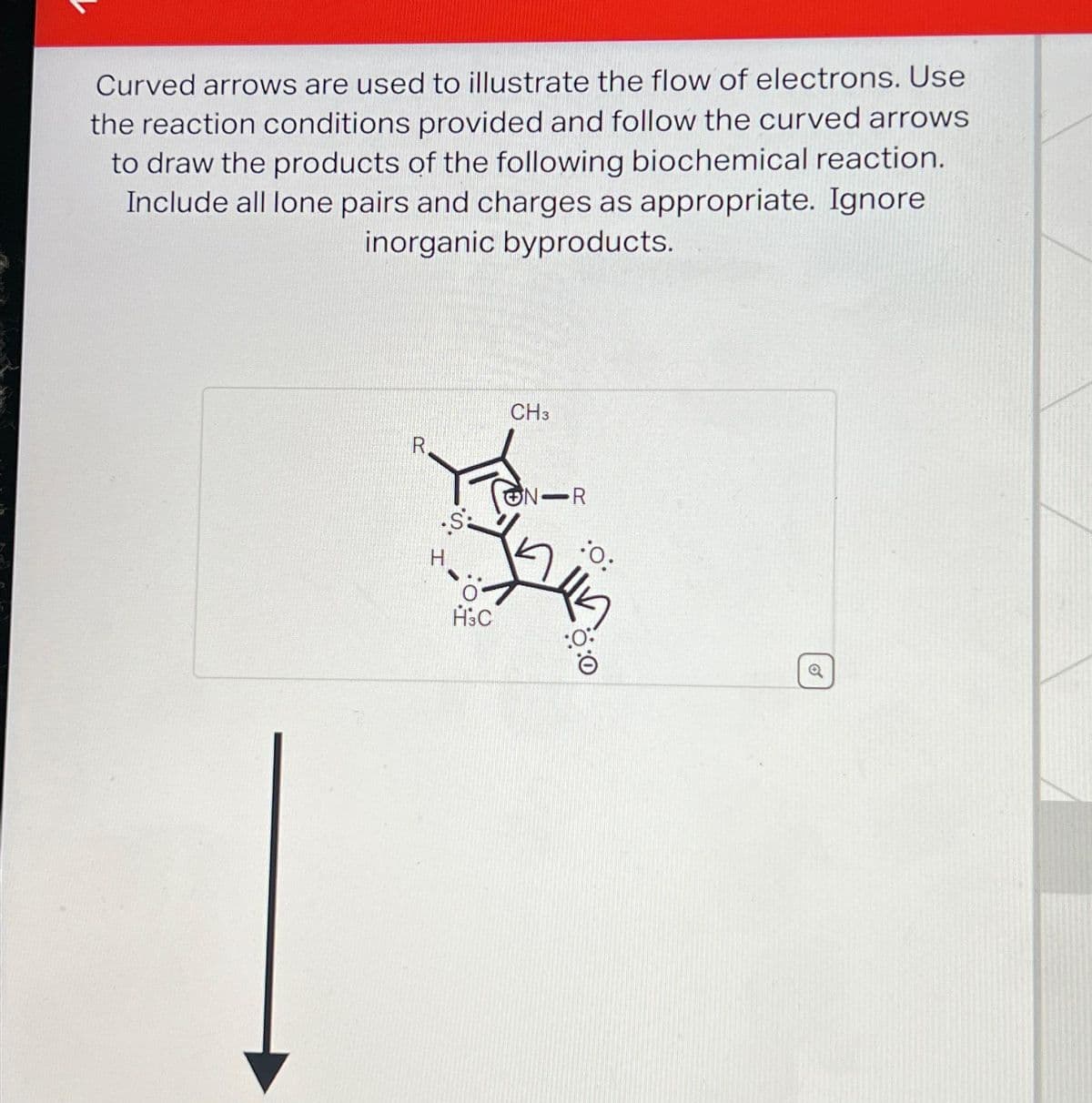 Curved arrows are used to illustrate the flow of electrons. Use
the reaction conditions provided and follow the curved arrows
to draw the products of the following biochemical reaction.
Include all lone pairs and charges as appropriate. Ignore
inorganic byproducts.
R
S
H&C
CH3
ON R
:0: