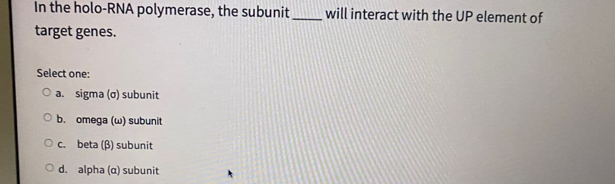 In the holo-RNA polymerase, the subunit _ will interact with the UP element of
target genes.
Select one:
O a. sigma (o) subunit
O b. omega (w) subunit
O c.
beta (B) subunit
O d. alpha (a) subunit
