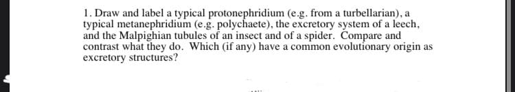 1. Draw and label a typical protonephridium (e.g. from a turbellarian), a
typical metanephridium (e.g. polychaete), the excretory system of a leech,
and the Malpighian tubules of an insect and of a spider. Compare and
contrast what they do. Which (if any) have a common evolutionary origin as
excretory structures?